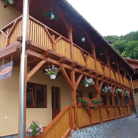 Pensiunea Elisabeta Sovata Exterior photo